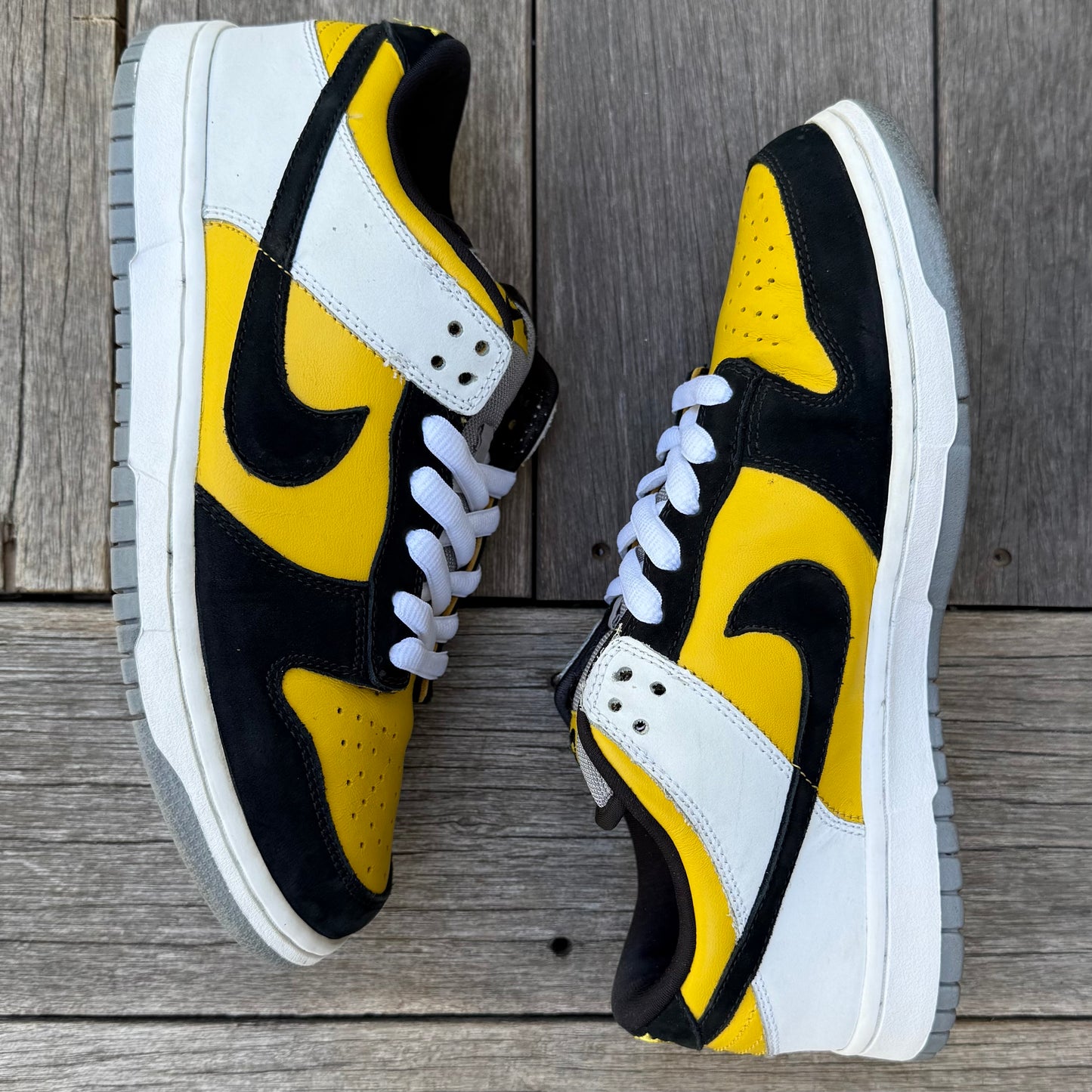 Nike SB Dunk Low BIC Size 9