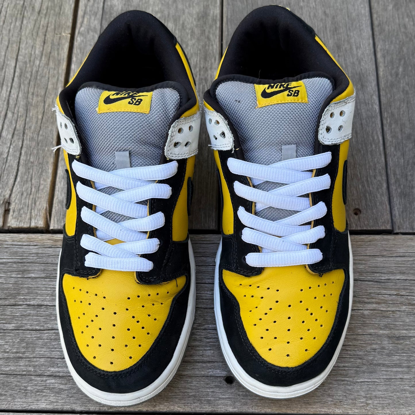 Nike SB Dunk Low BIC Size 9