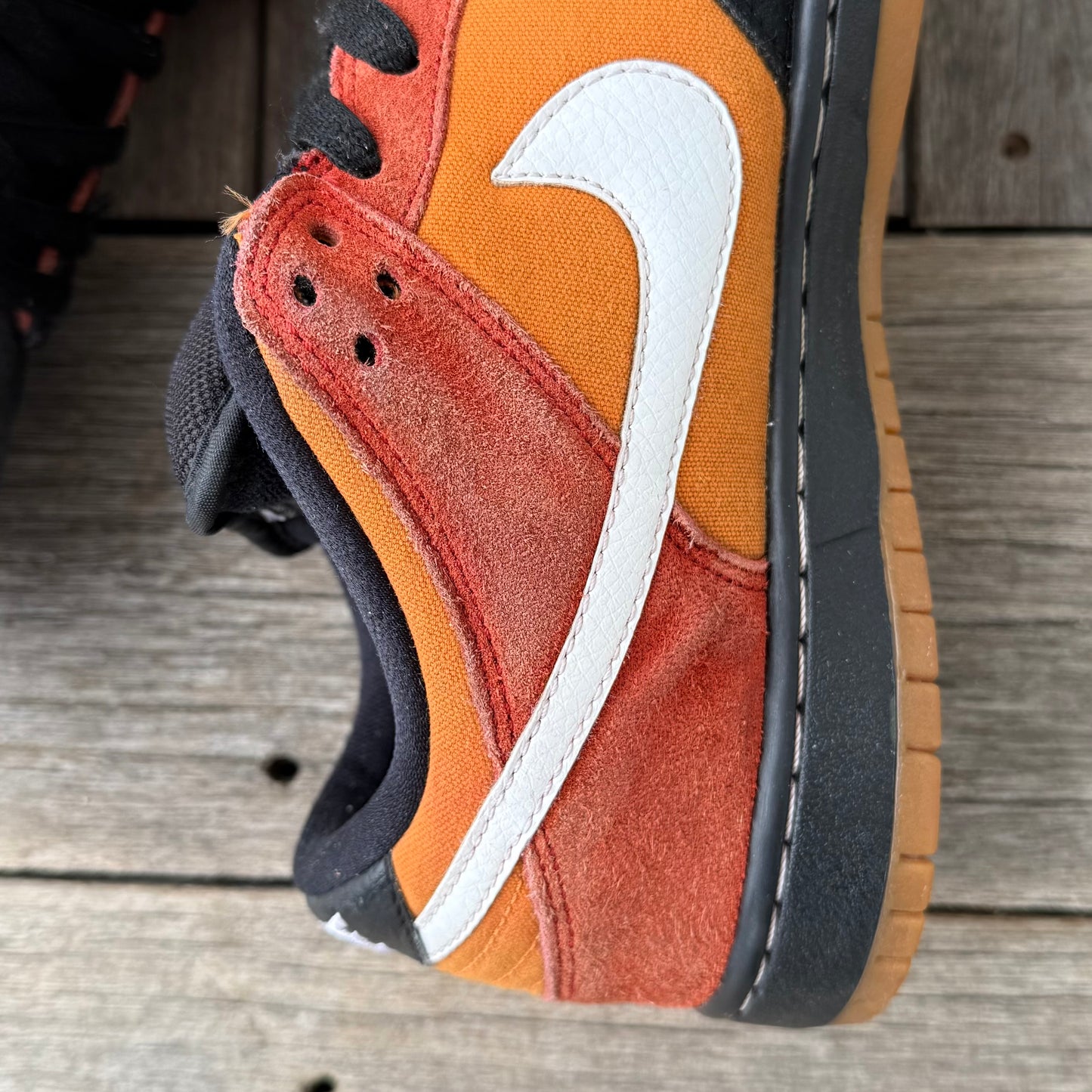 Nike SB Dunk Low Cinnabar Reverse RayGun Size 9.5