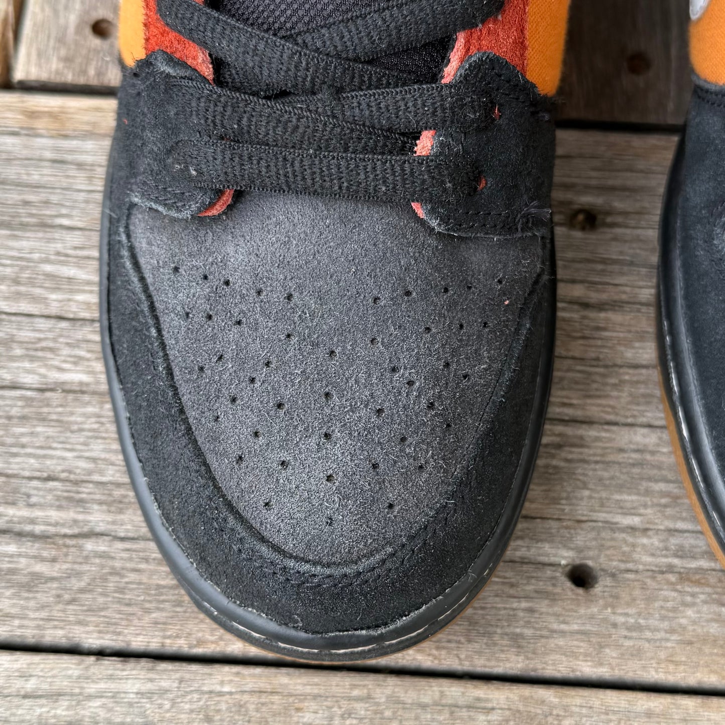 Nike SB Dunk Low Cinnabar Reverse RayGun Size 9.5