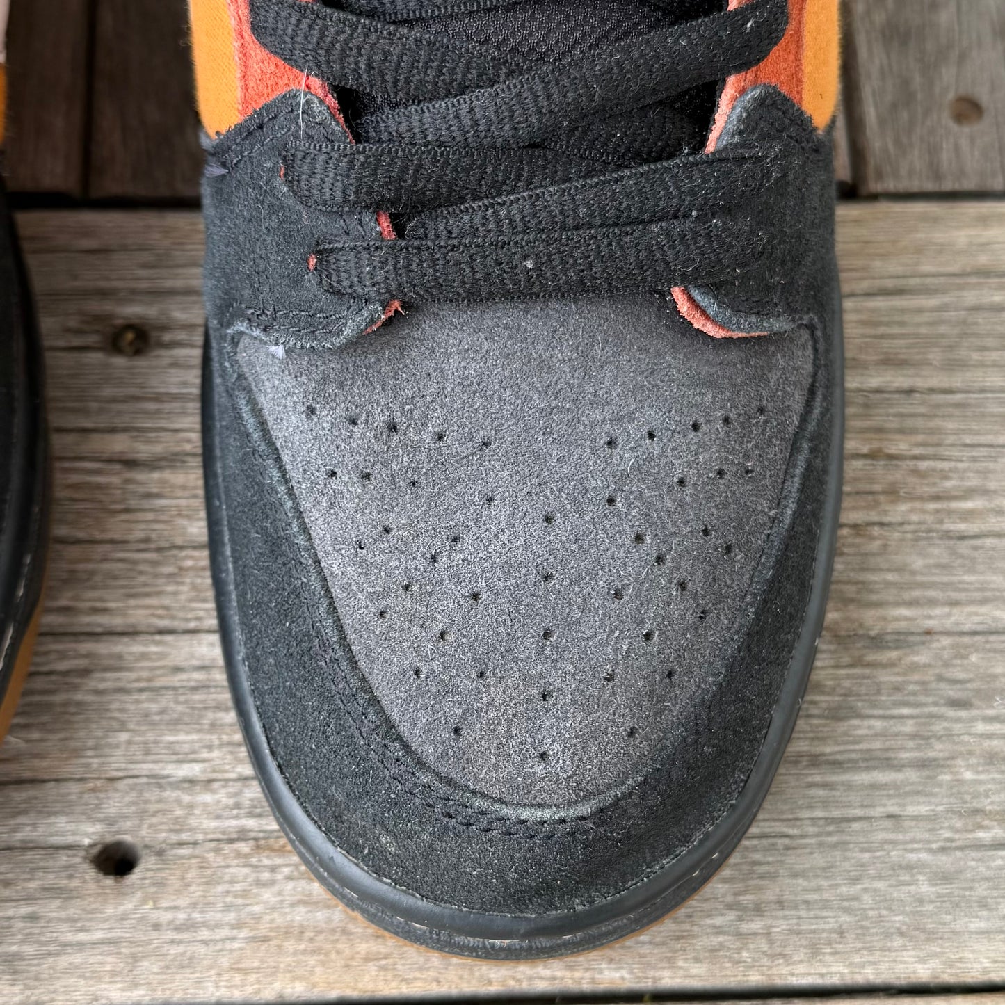 Nike SB Dunk Low Cinnabar Reverse RayGun Size 9.5