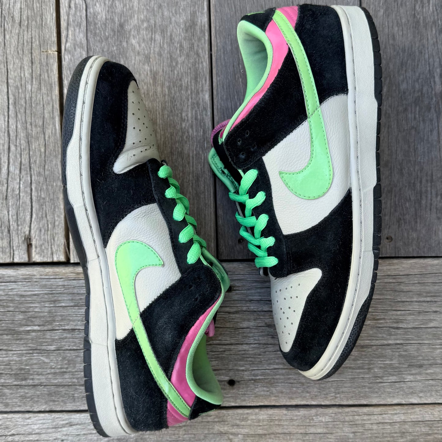 Nike SB Dunk Low Poison Size 12