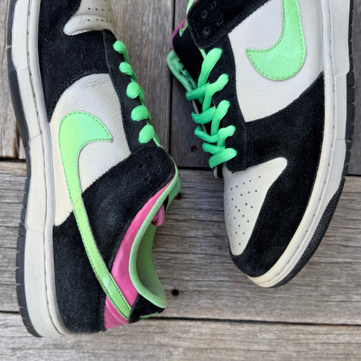 Nike SB Dunk Low Poison Size 12