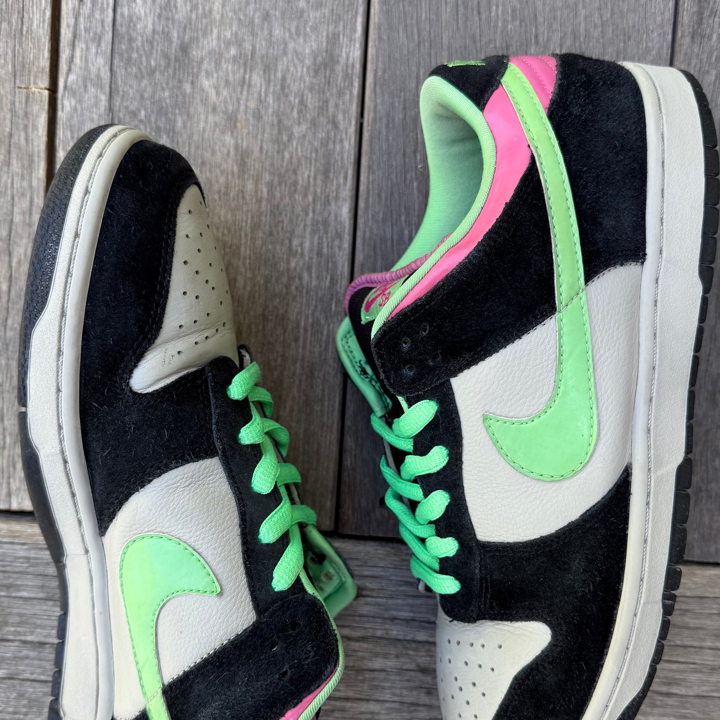 Nike SB Dunk Low Poison Size 12