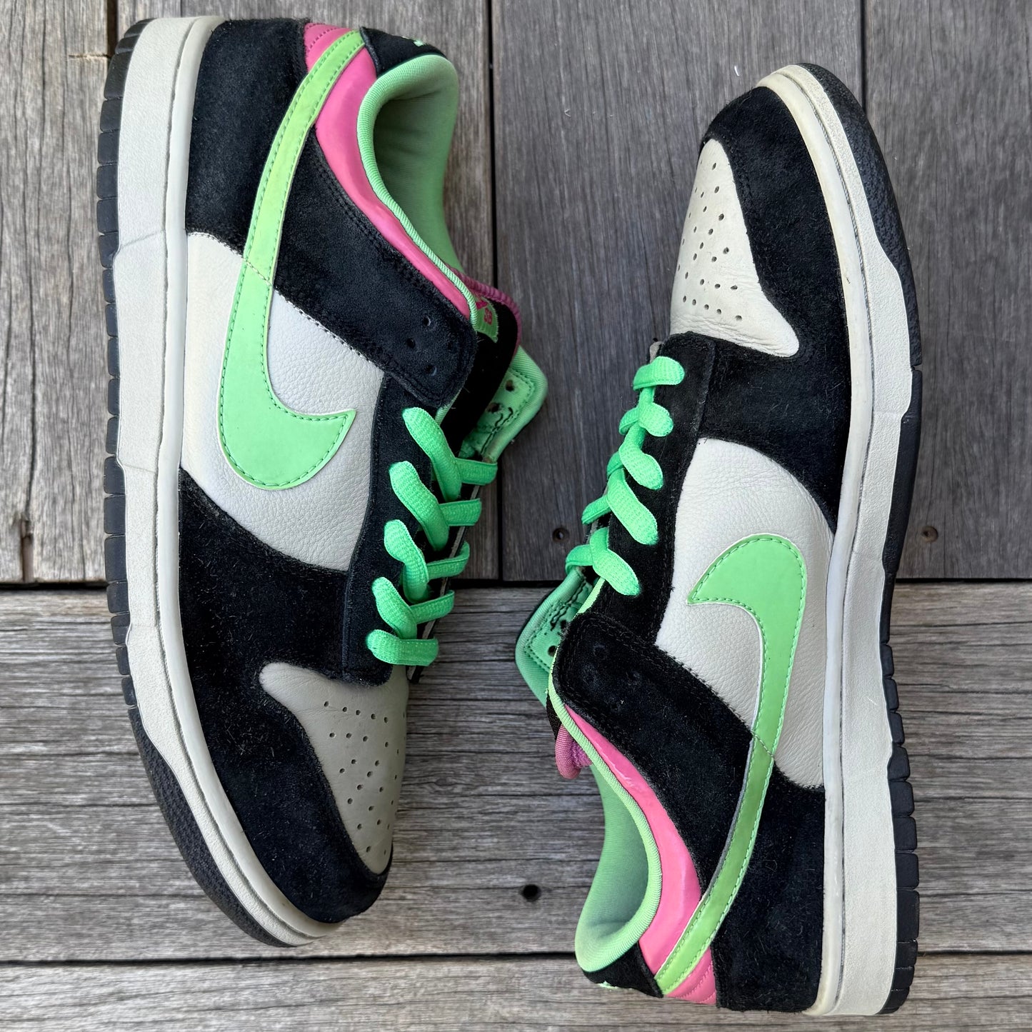 Nike SB Dunk Low Poison Size 12