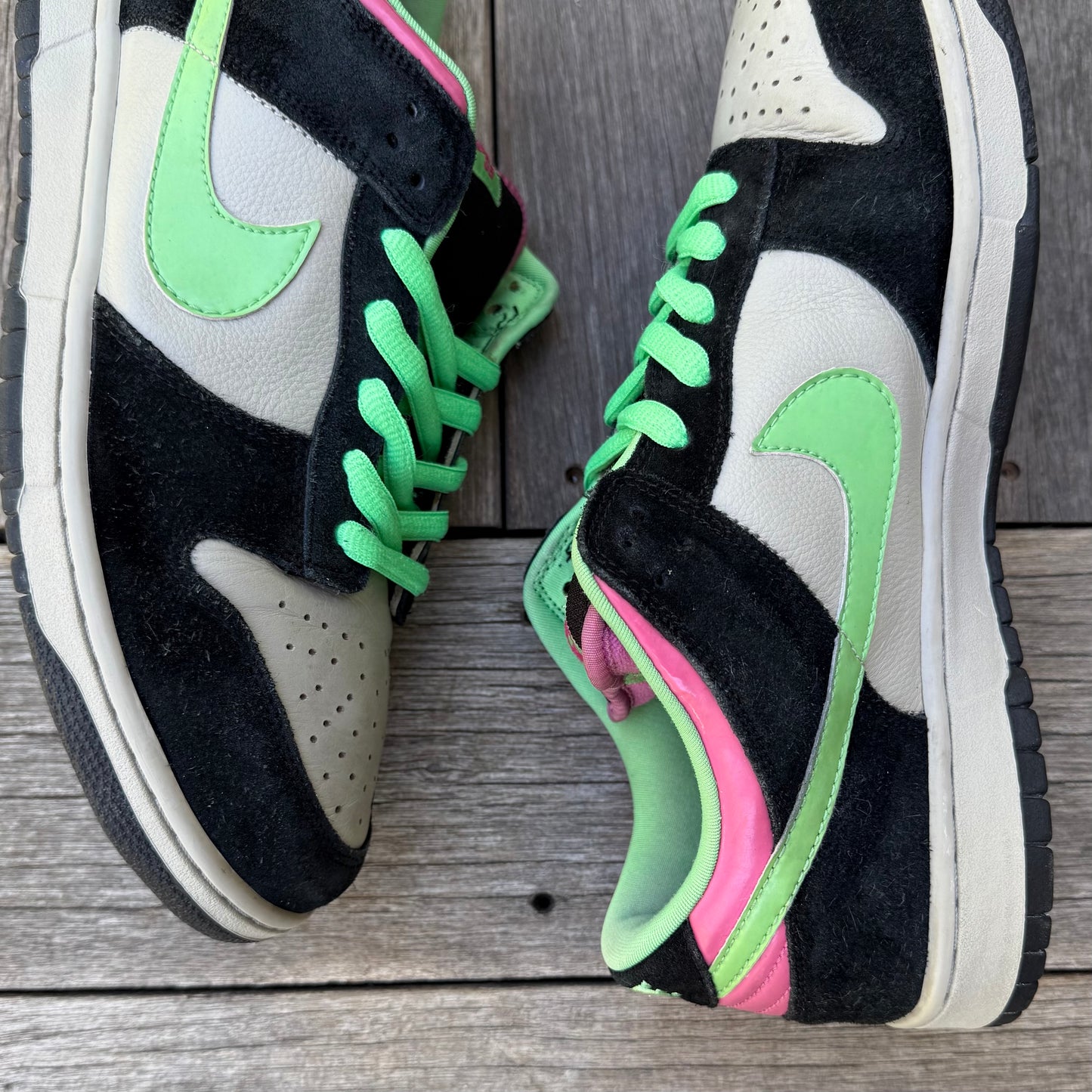 Nike SB Dunk Low Poison Size 12