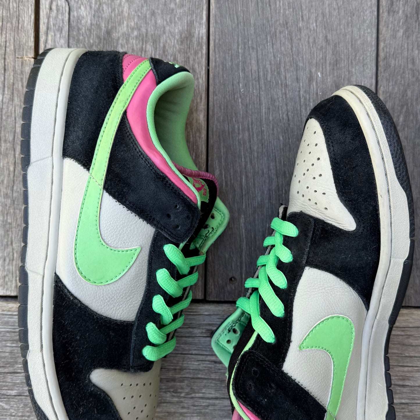 Nike SB Dunk Low Poison Size 12