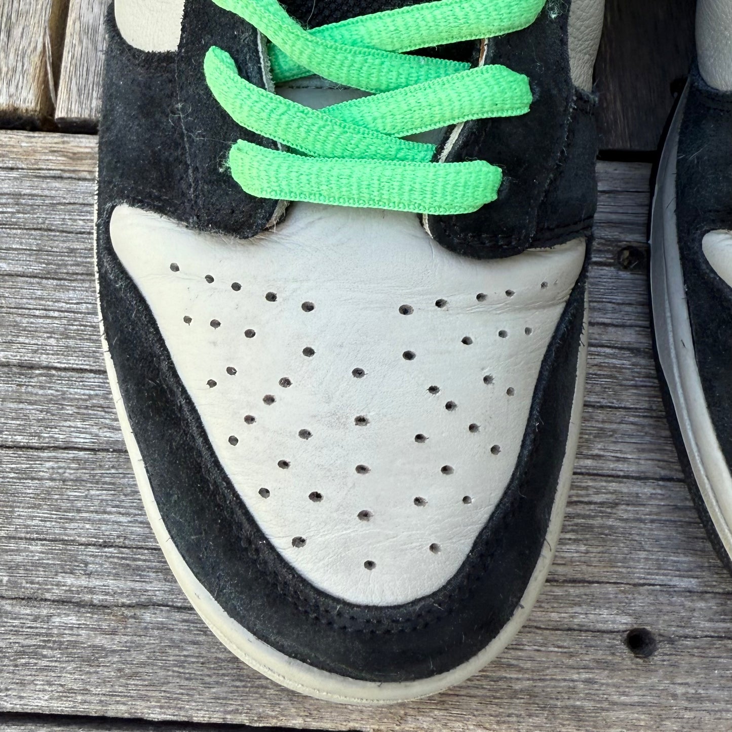 Nike SB Dunk Low Poison Size 12