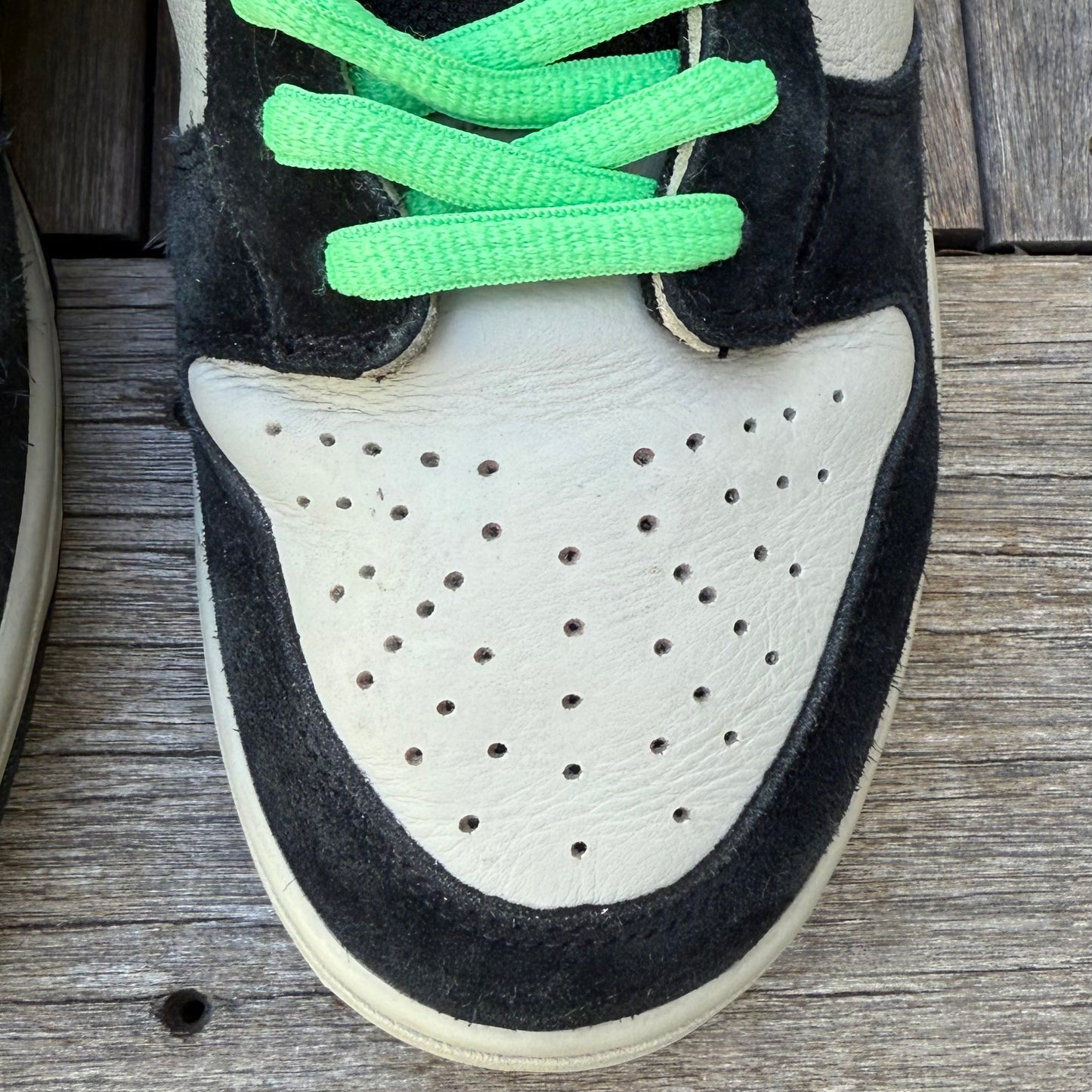 Nike SB Dunk Low Poison Size 12