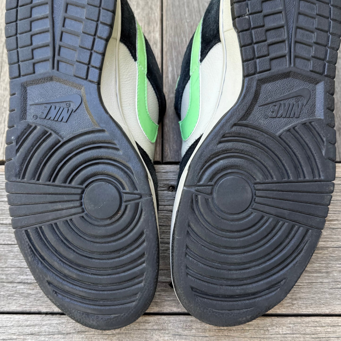 Nike SB Dunk Low Poison Size 12