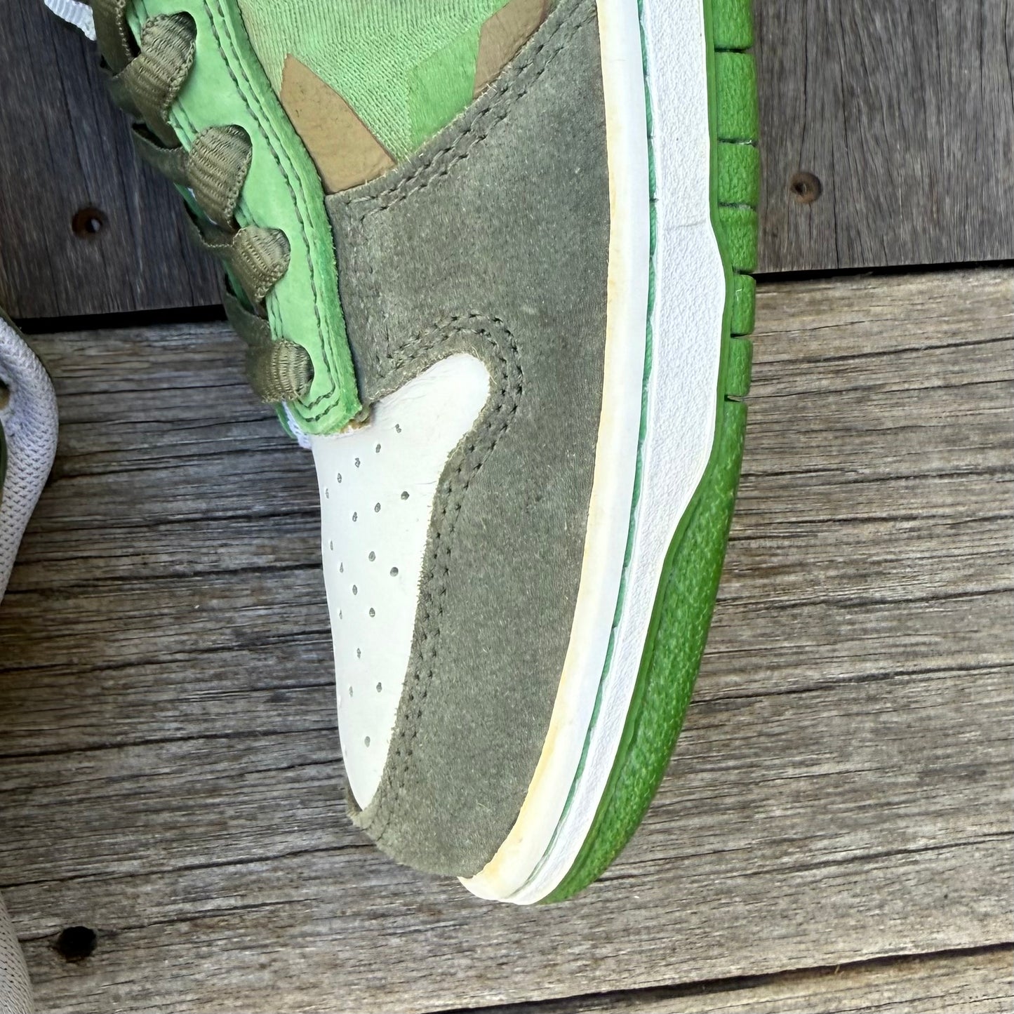 Nike SB Dunk Low BCS1 EMB Cesar Gordo Size 8.5