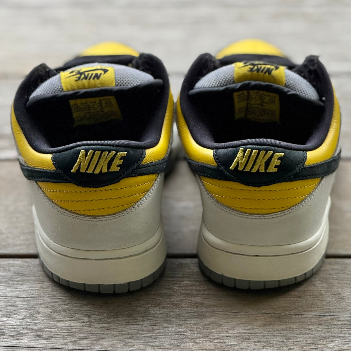 Nike SB Dunk Low BIC Size 9.5