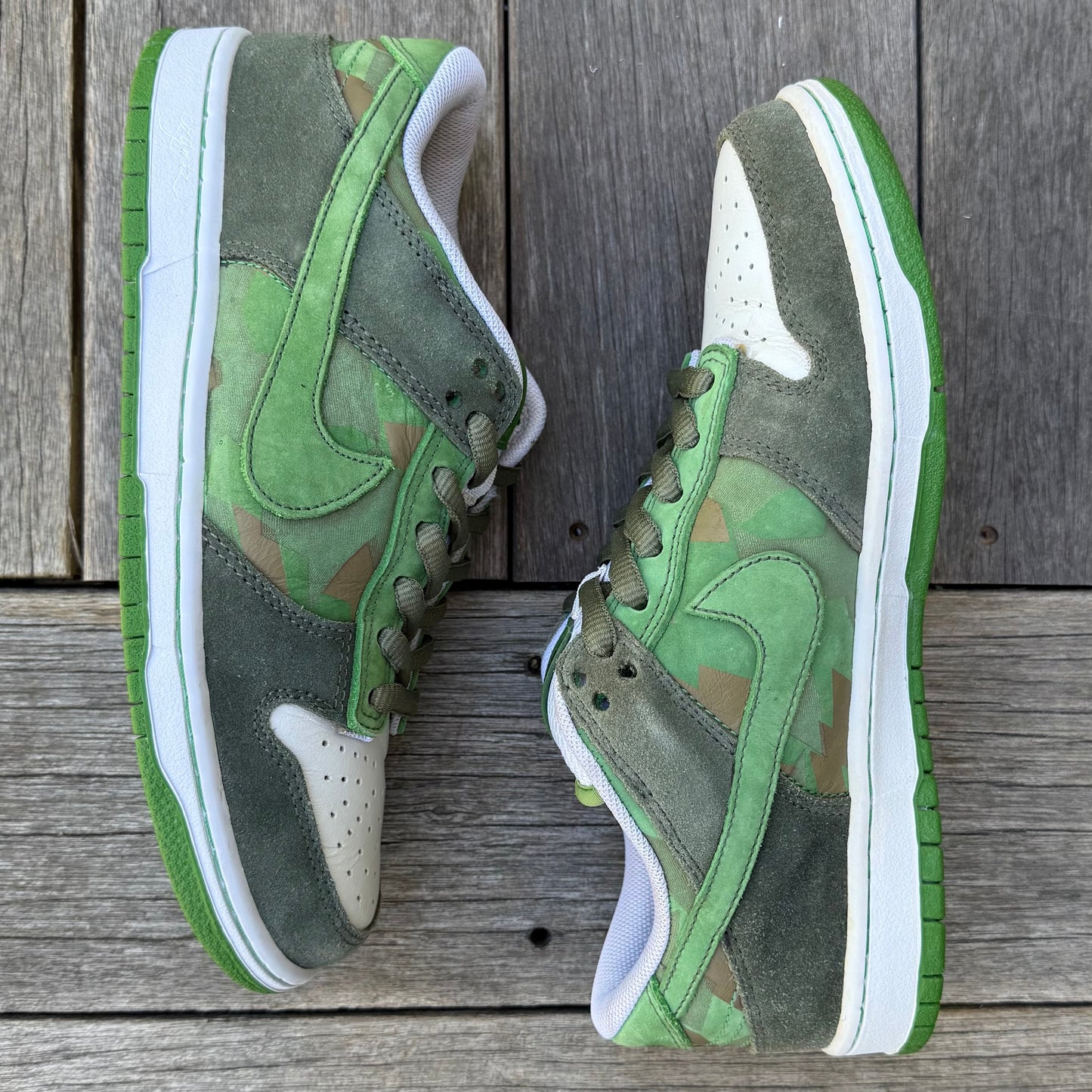 Nike SB Dunk Low BCS1 EMB Cesar Gordo Size 8.5
