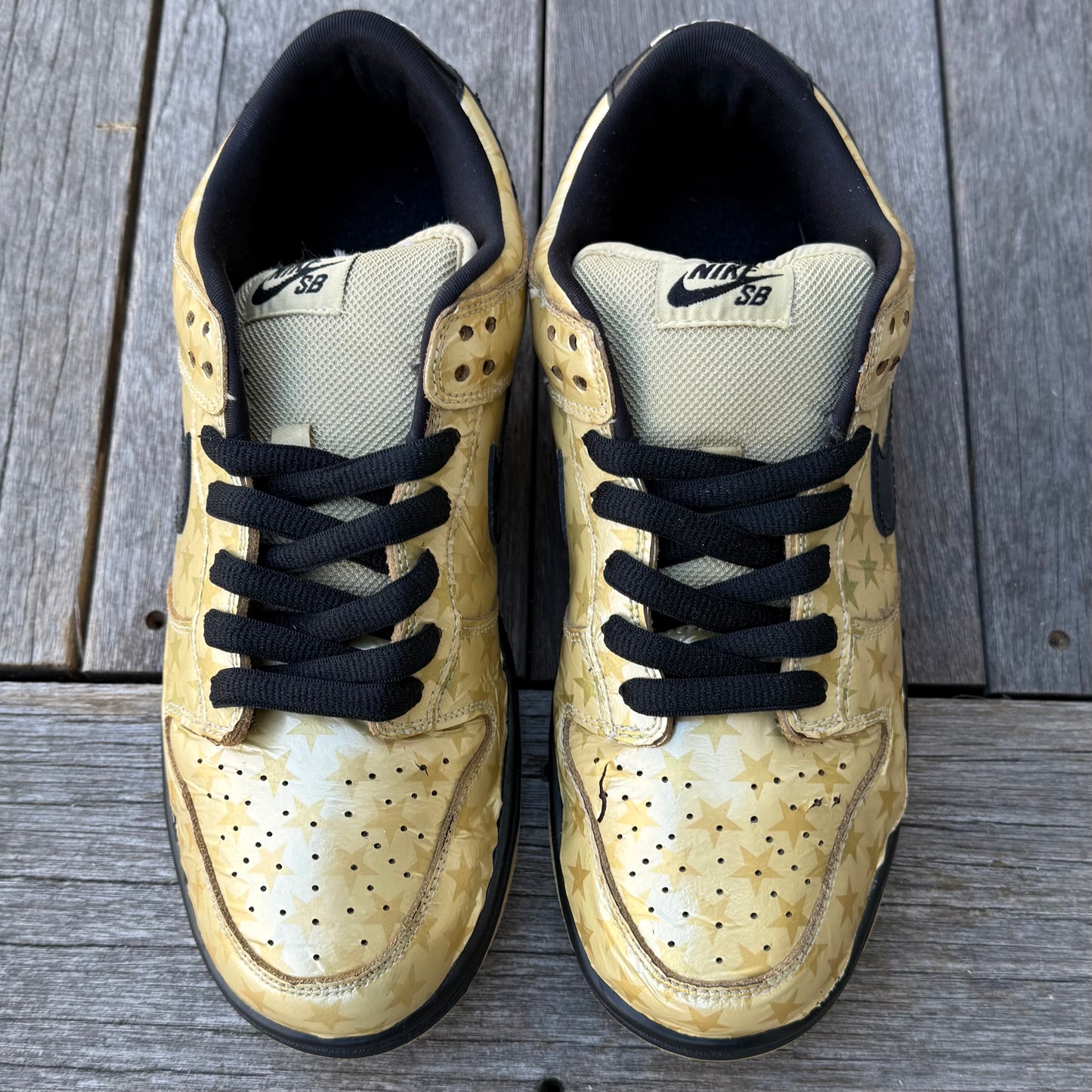 Nike SB Dunk Low Trickstar Size 9.5