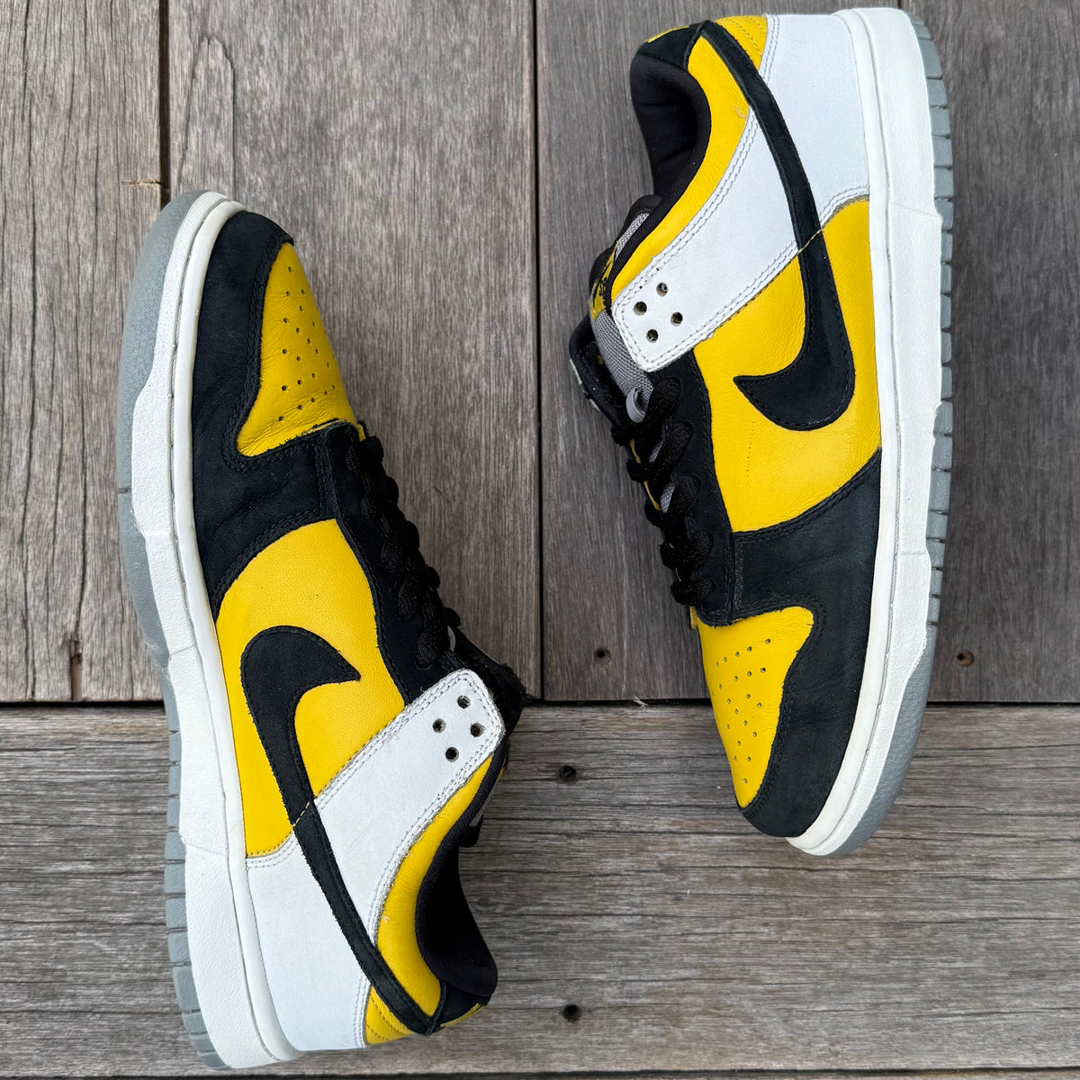 Nike SB Dunk Low BIC Size 9.5