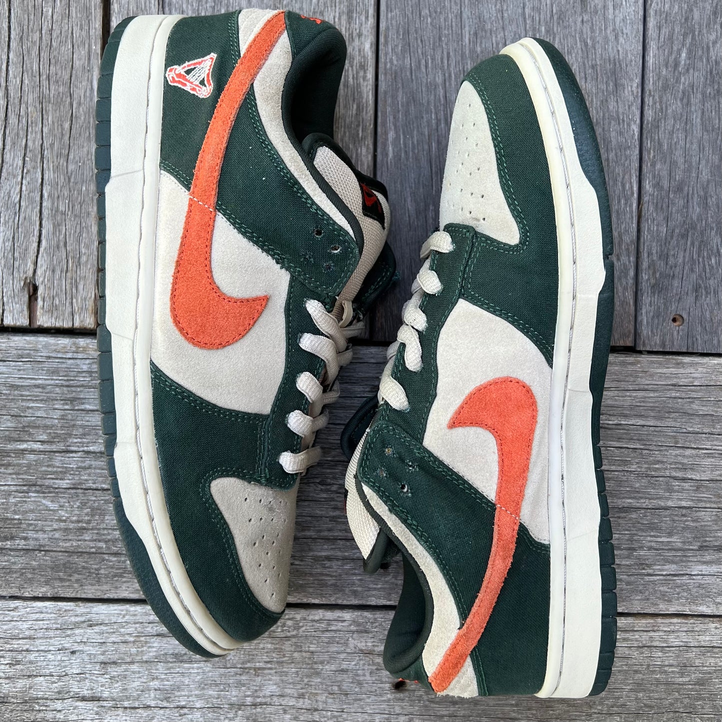 Nike SB Dunk Low Eire Size 10.5