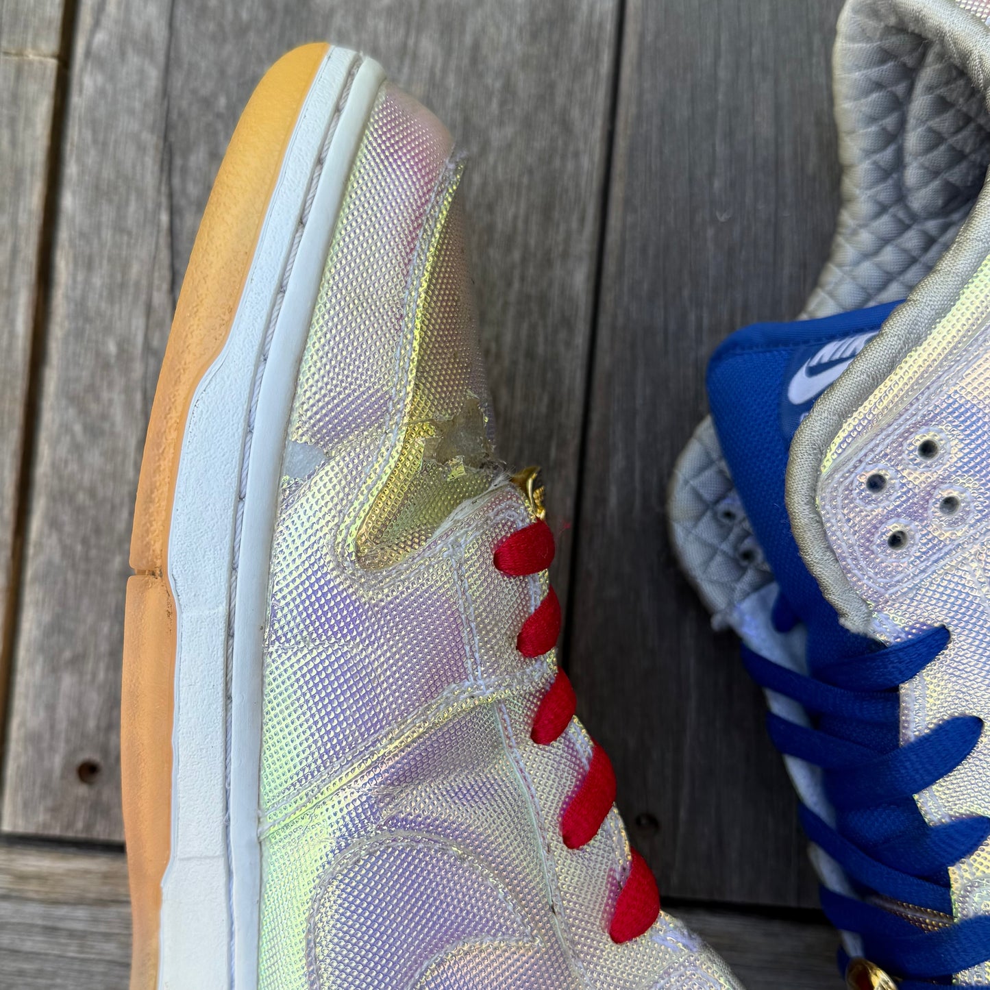Nike SB Dunk Low Holy Grail CNCPTS Size 12