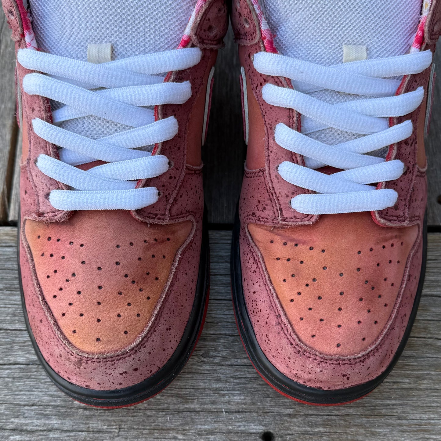 Nike SB Dunk Low Red Lobster Size 9