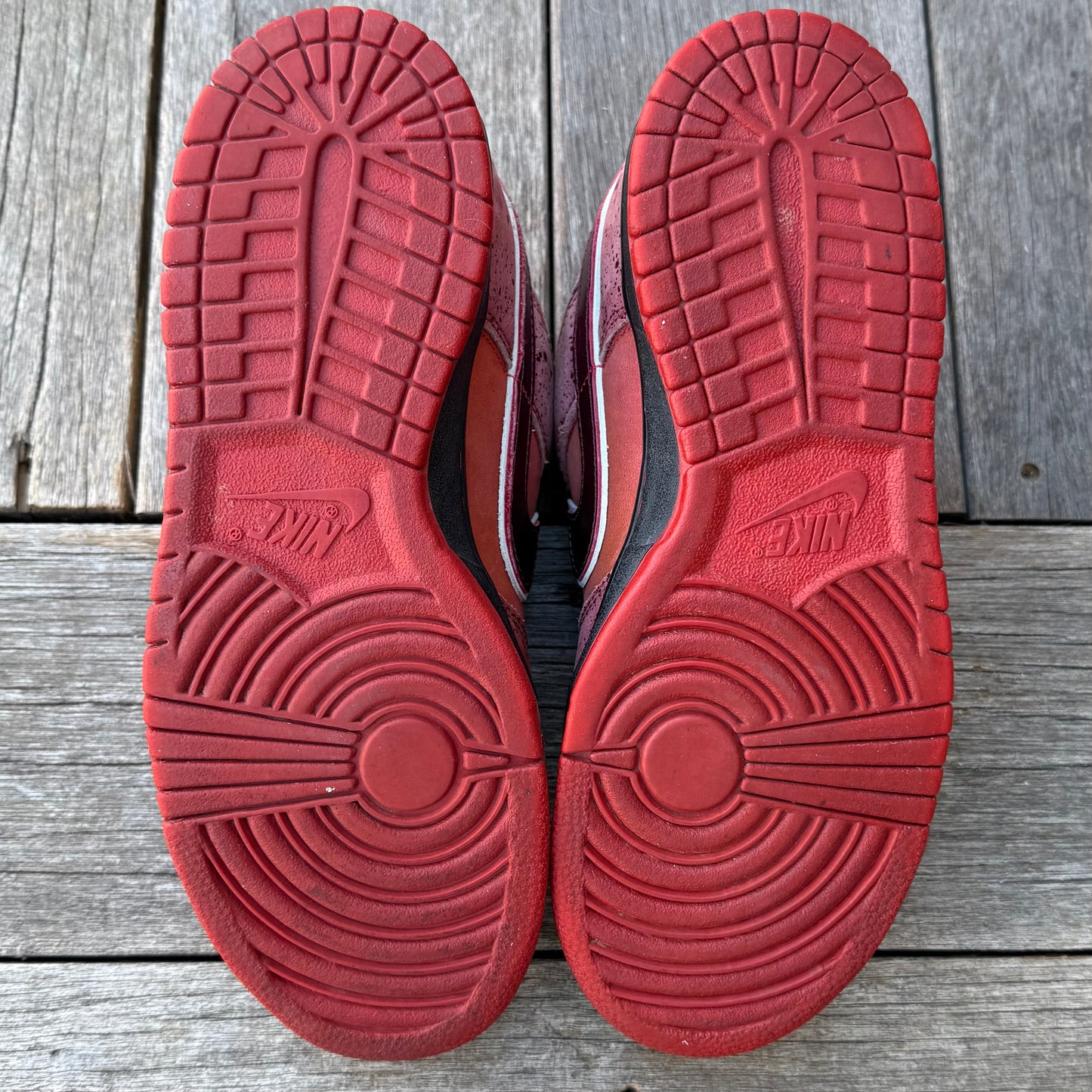 Nike SB Dunk Low Red Lobster Size 9