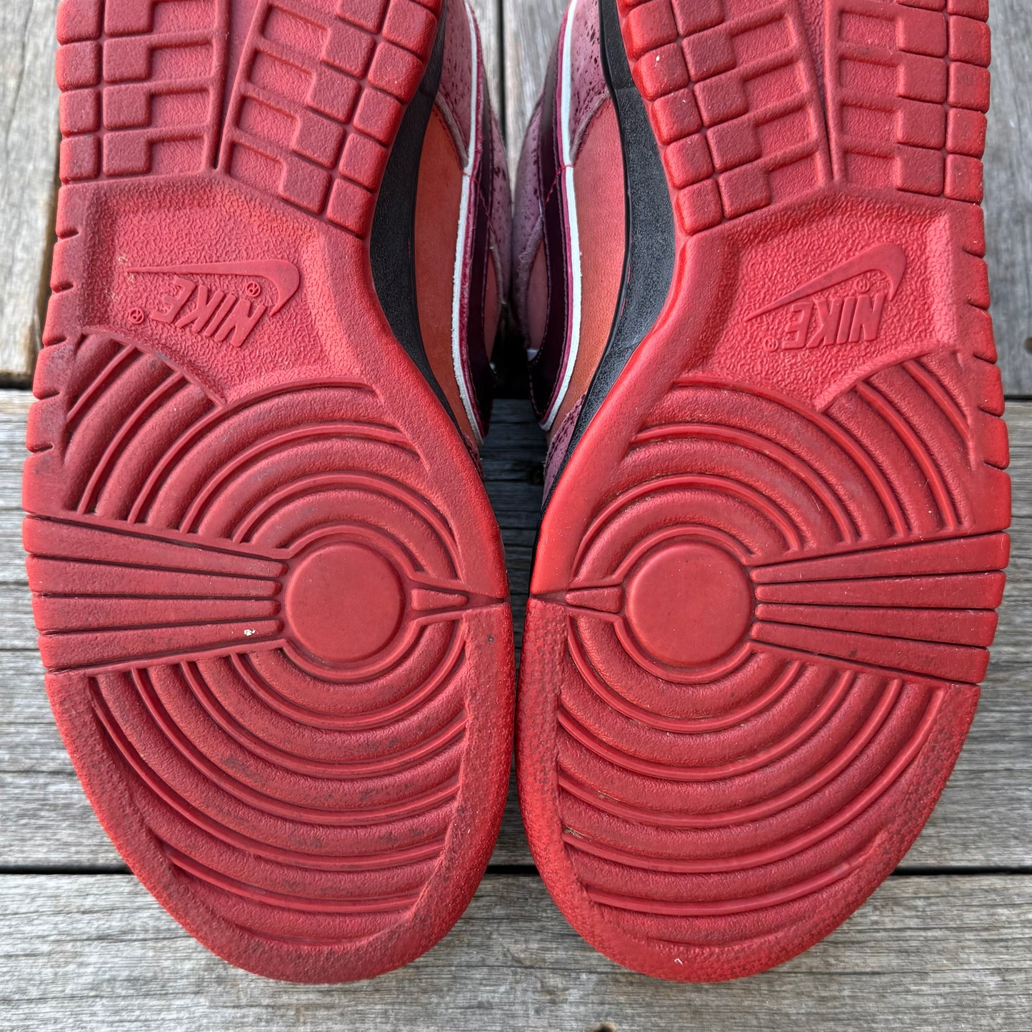 Nike SB Dunk Low Red Lobster Size 9