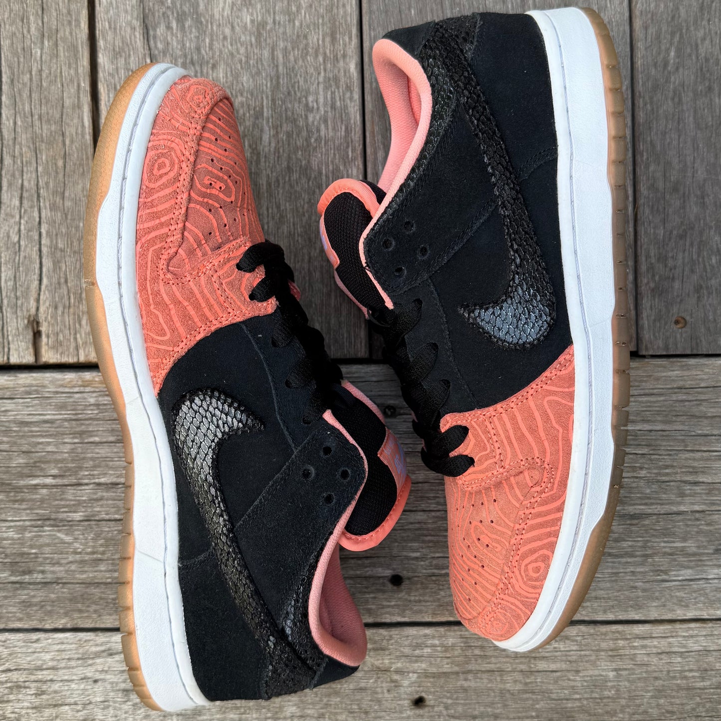 Nike SB Dunk Low Fish Ladder Size 10