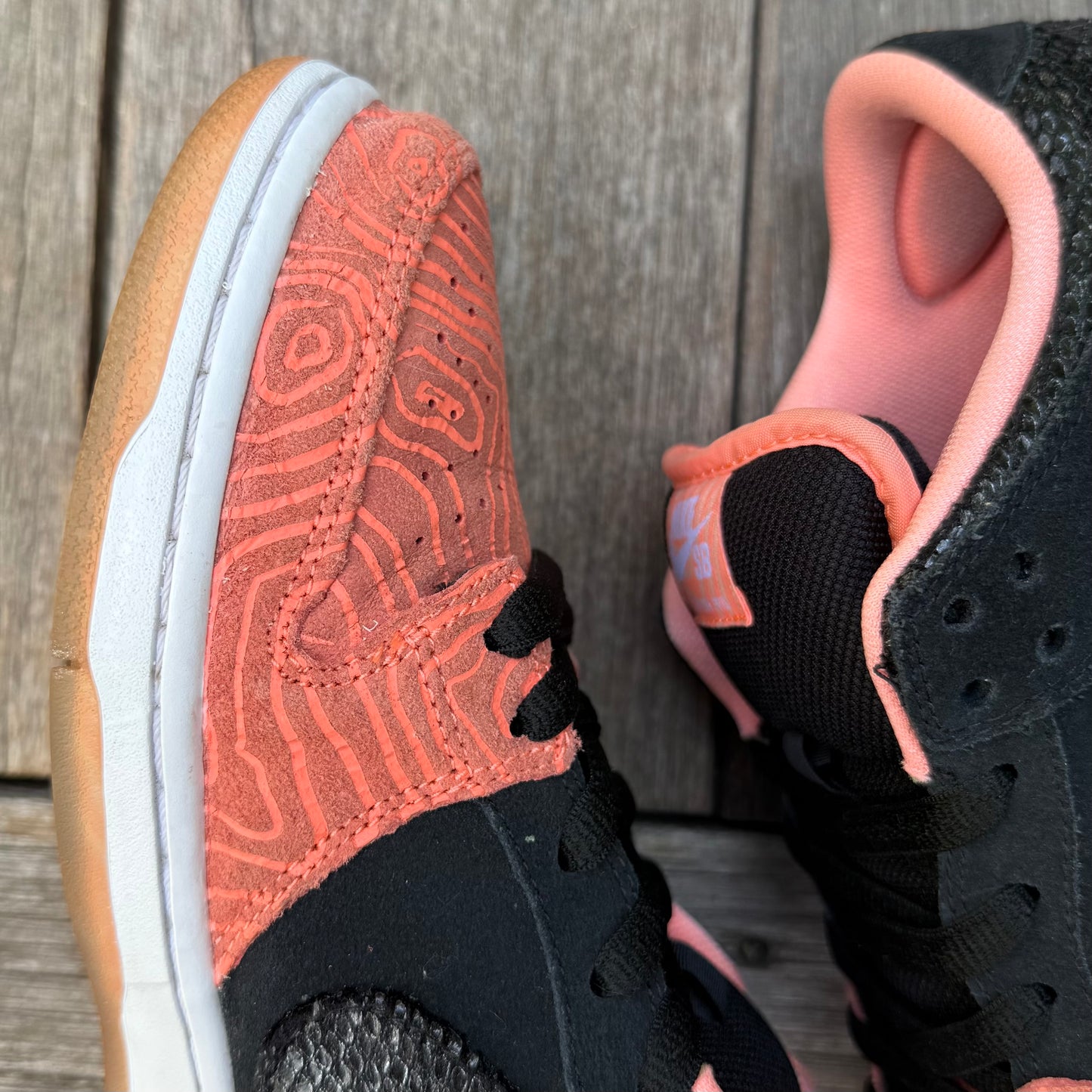 Nike SB Dunk Low Fish Ladder Size 10