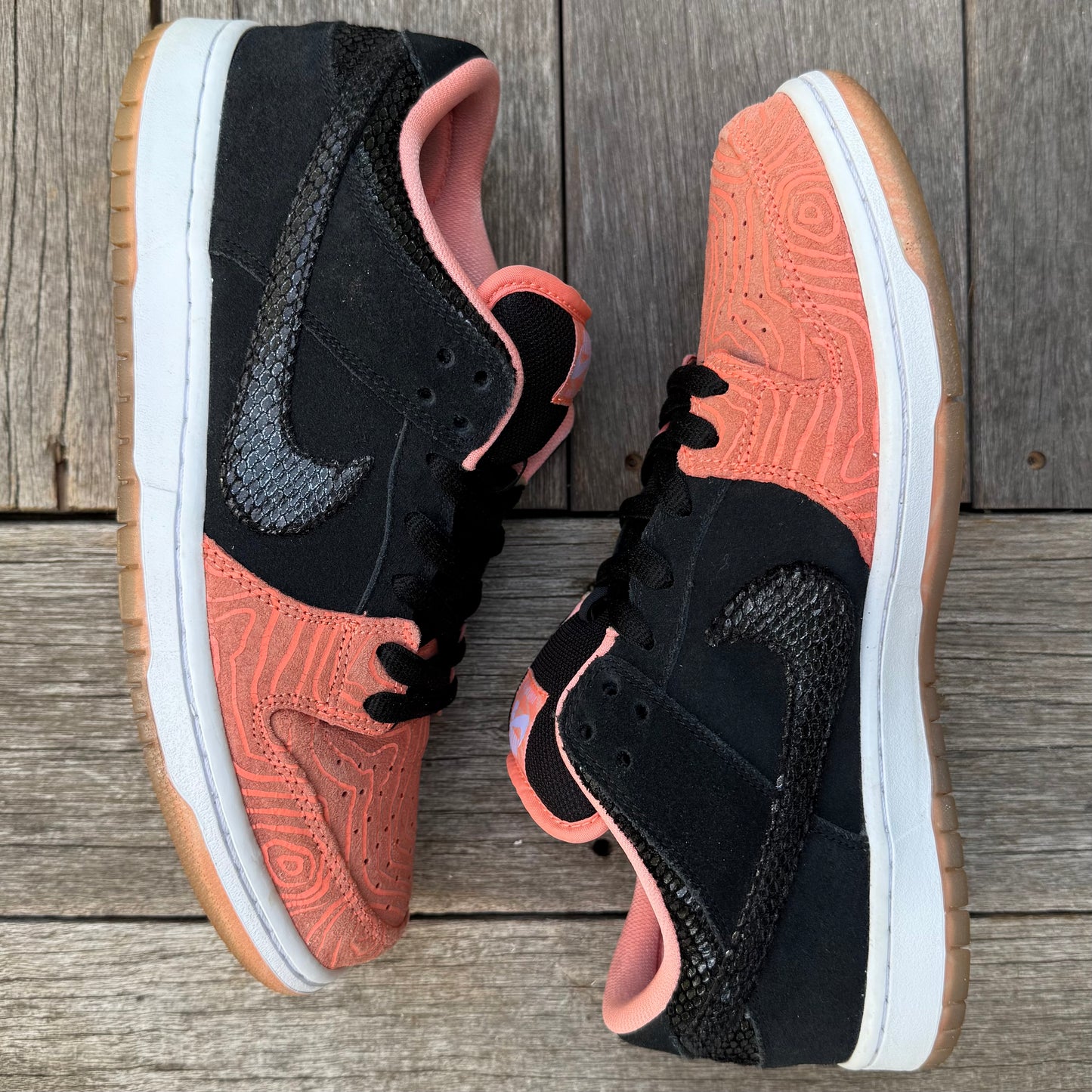 Nike SB Dunk Low Fish Ladder Size 10