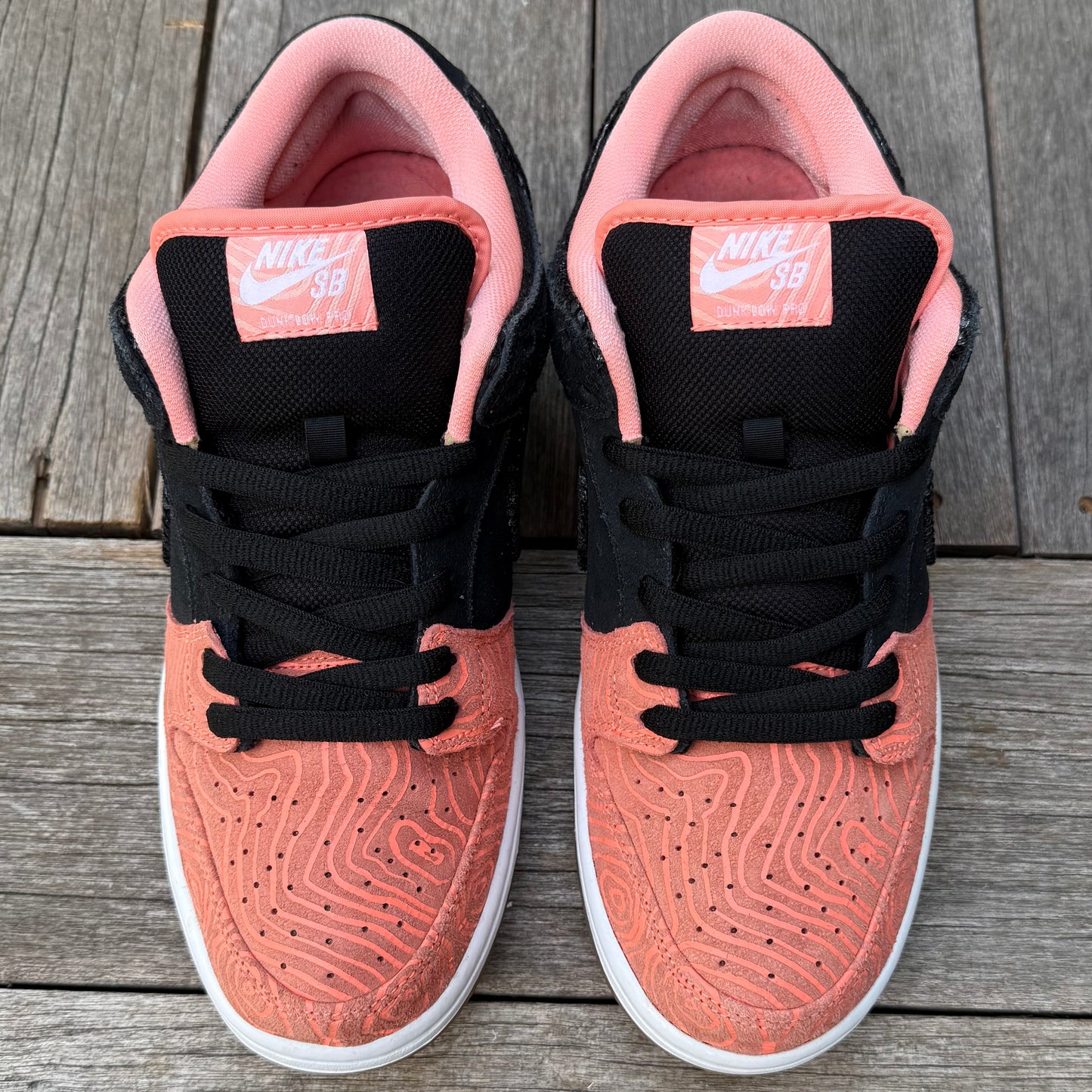 Nike SB Dunk Low Fish Ladder Size 10