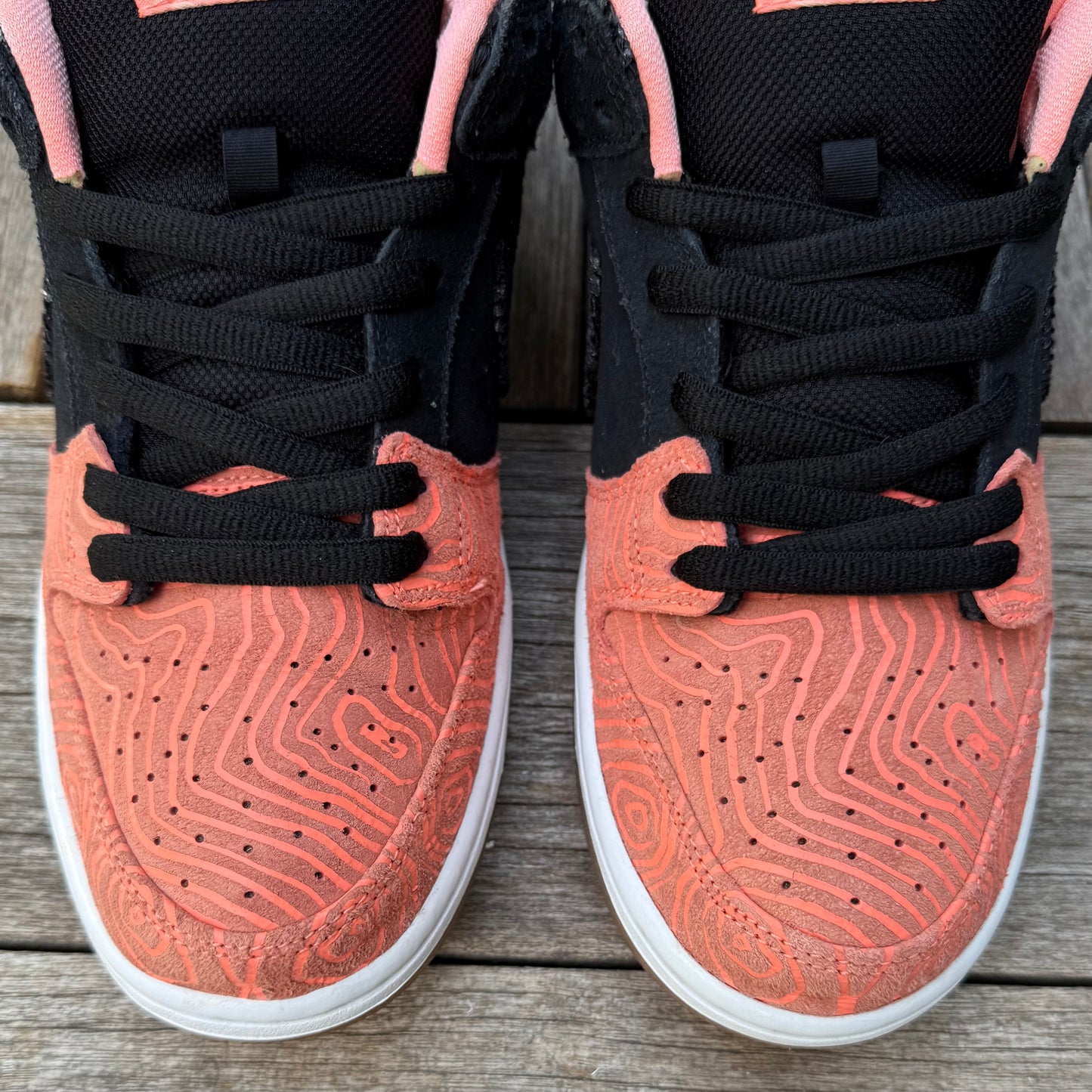 Nike SB Dunk Low Fish Ladder Size 10