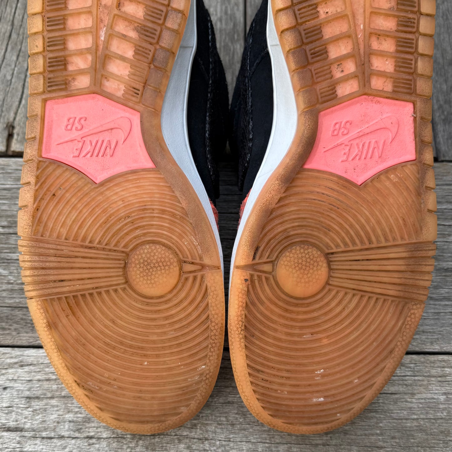 Nike SB Dunk Low Fish Ladder Size 10