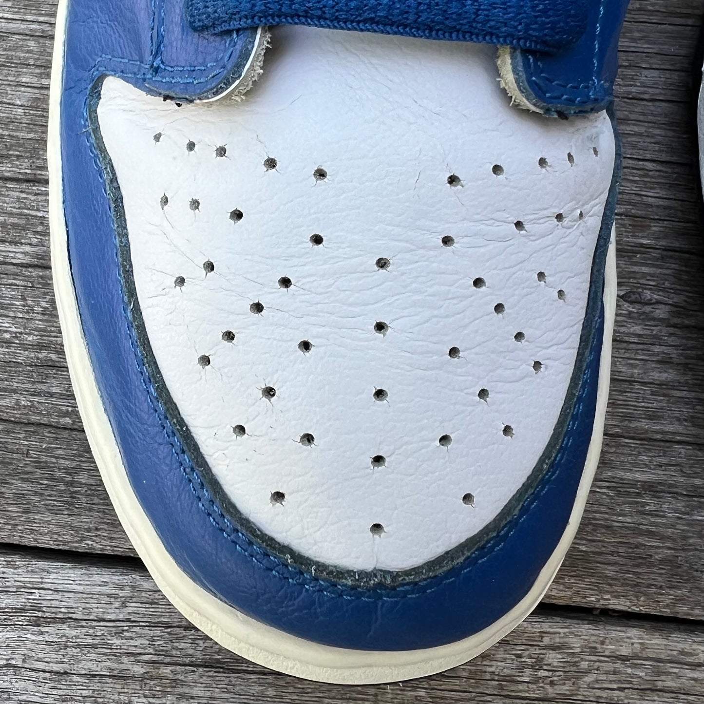 Nike SB Dunk Low Neptune Size 13