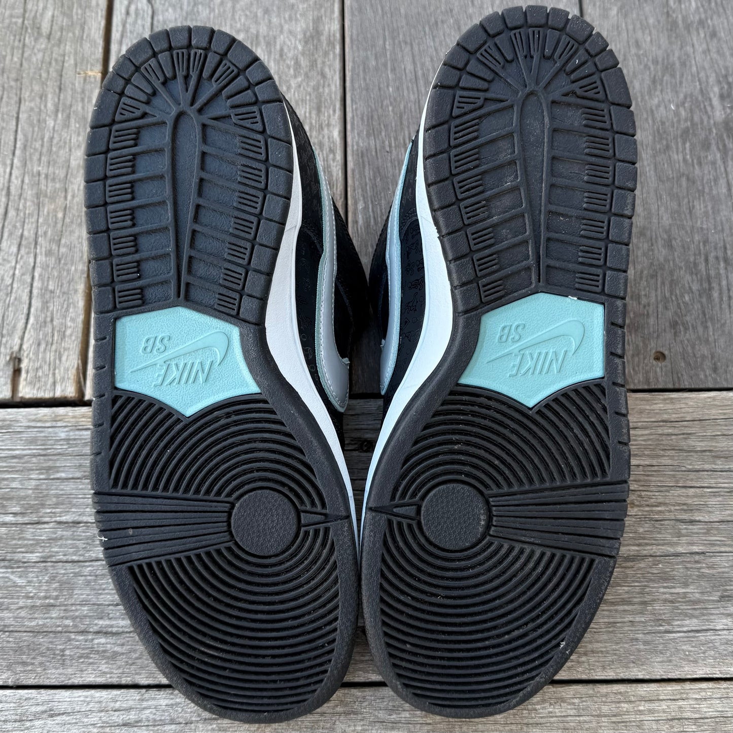 Nike SB Dunk Low Skatepark of Tampa (SPOT) Size 11