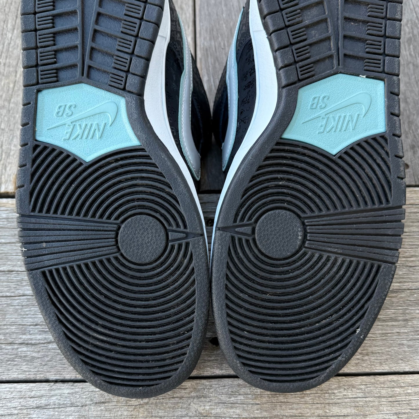 Nike SB Dunk Low Skatepark of Tampa (SPOT) Size 11