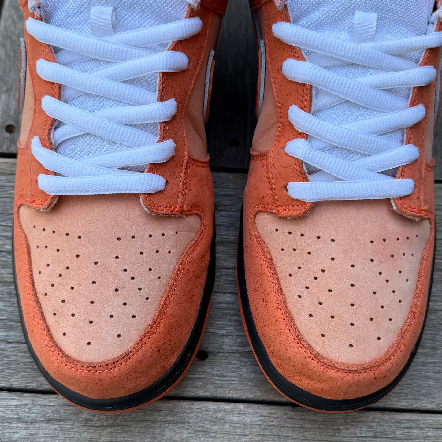 Nike SB Dunk Low Orange Lobster Size 13