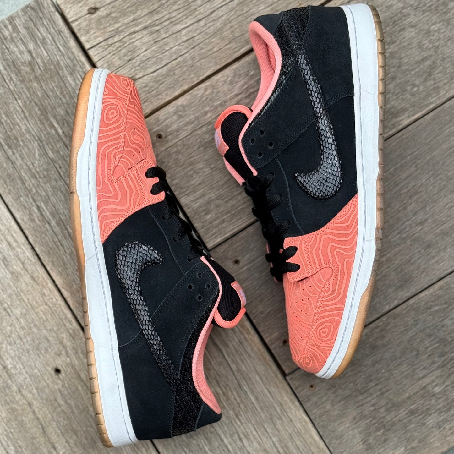 Nike SB Dunk Low Fish Ladder Size 15