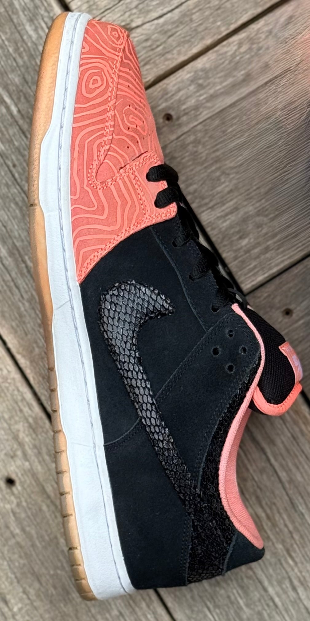 Nike SB Dunk Low Fish Ladder Size 15