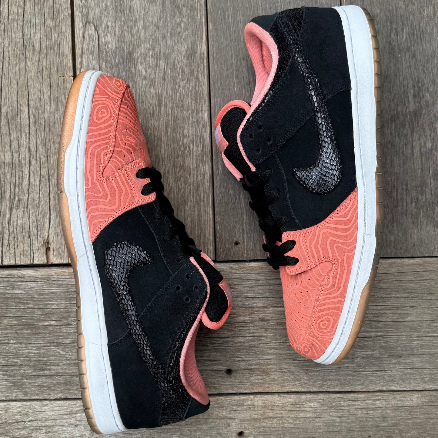 Nike SB Dunk Low Fish Ladder Size 15