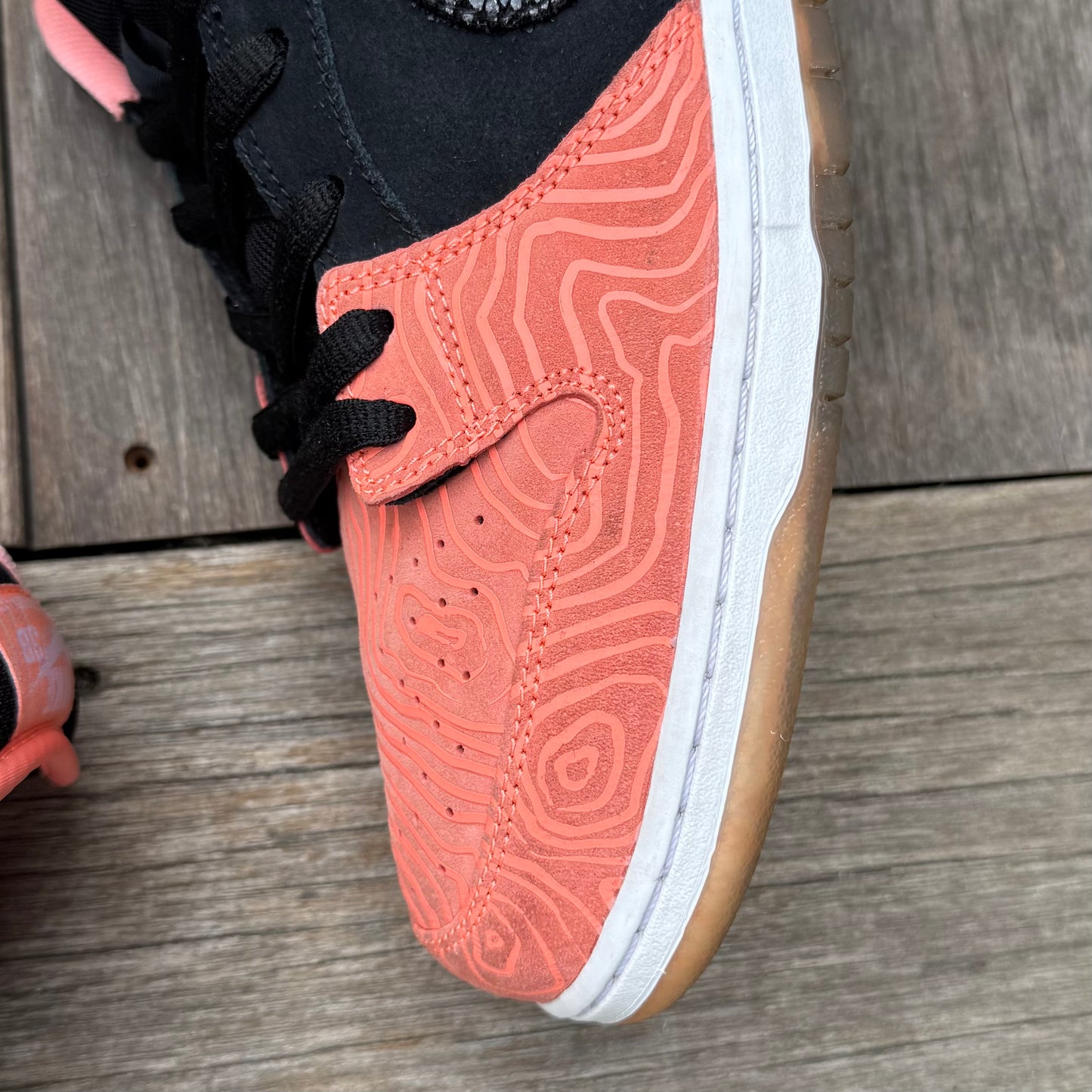 Nike SB Dunk Low Fish Ladder Size 15