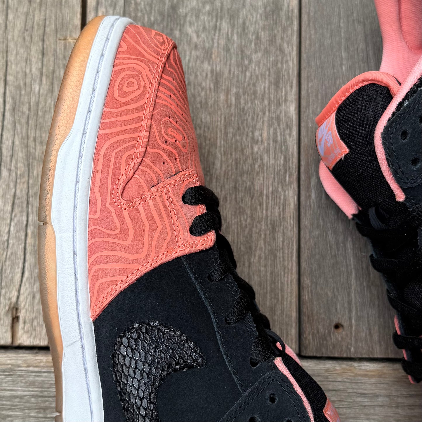 Nike SB Dunk Low Fish Ladder Size 15