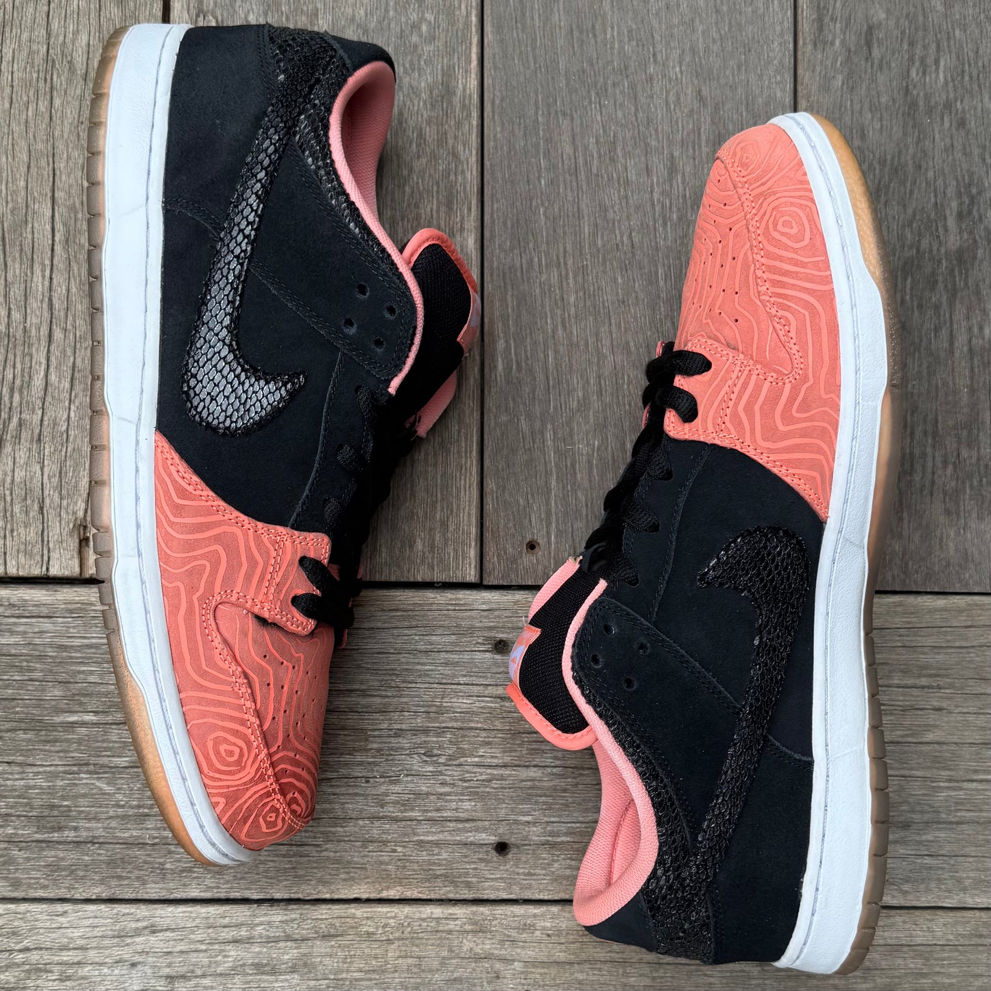 Nike SB Dunk Low Fish Ladder Size 15
