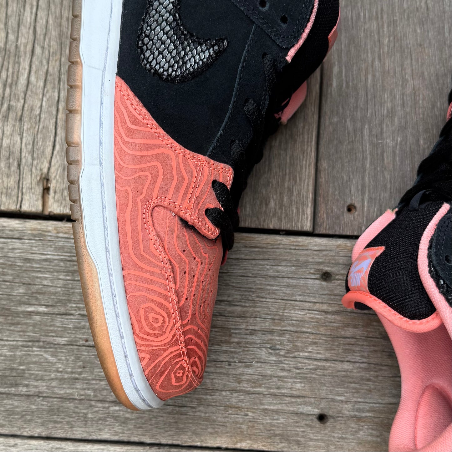 Nike SB Dunk Low Fish Ladder Size 15