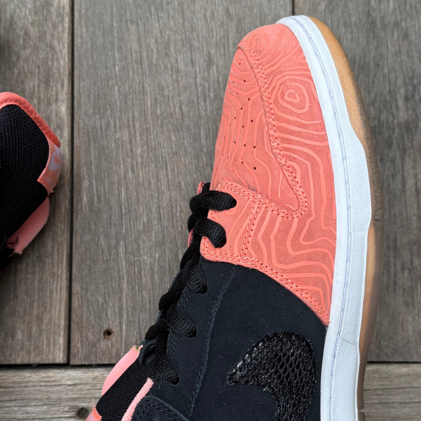 Nike SB Dunk Low Fish Ladder Size 15