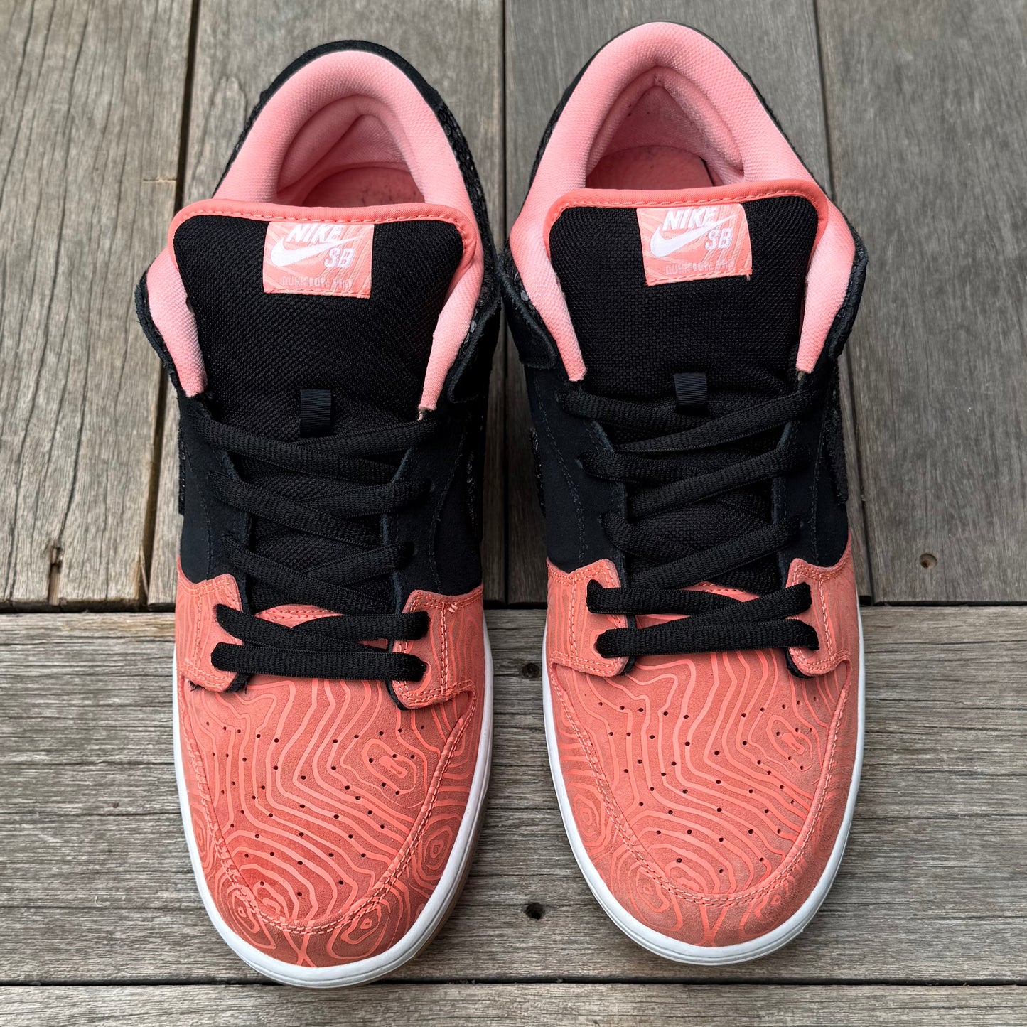 Nike SB Dunk Low Fish Ladder Size 15