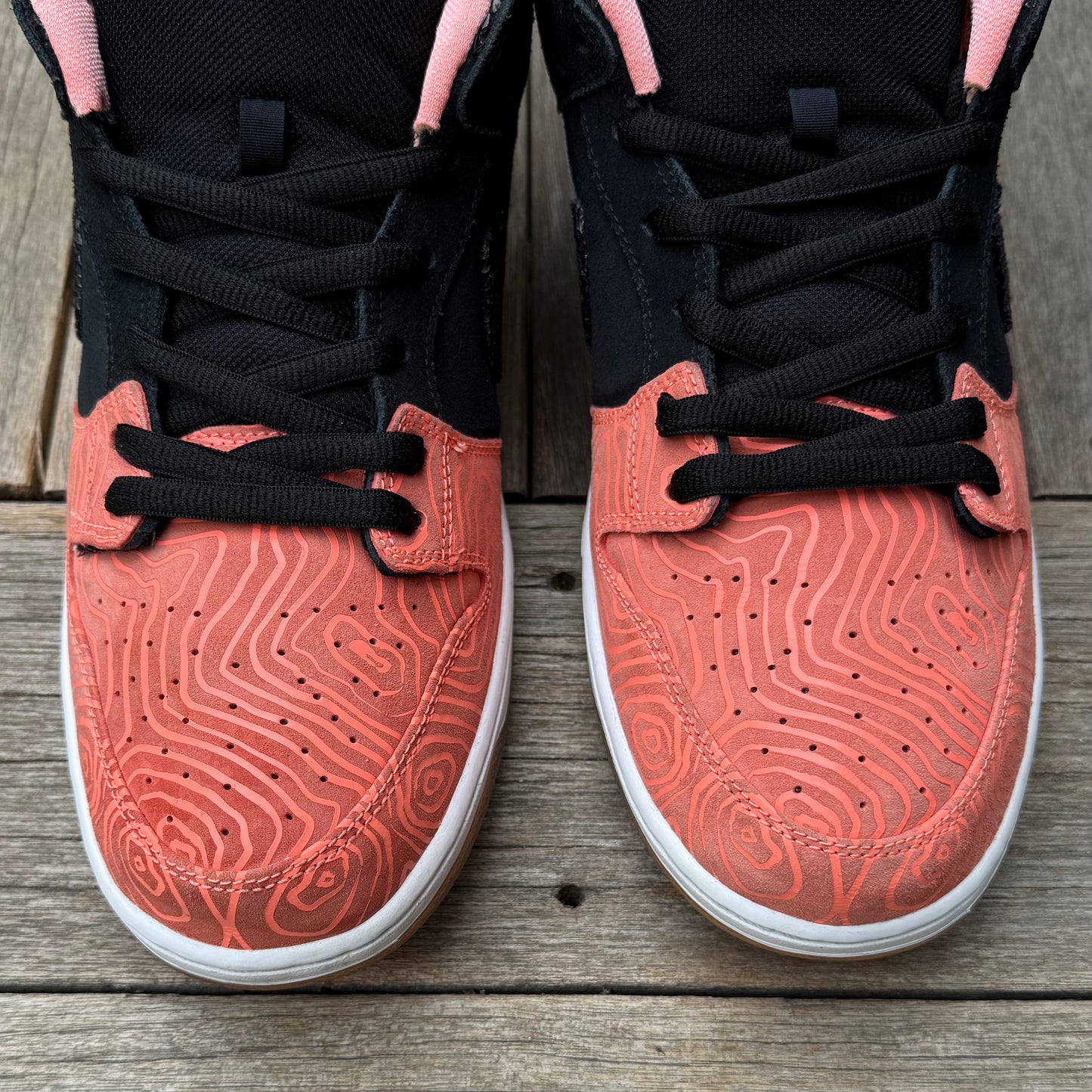 Nike SB Dunk Low Fish Ladder Size 15