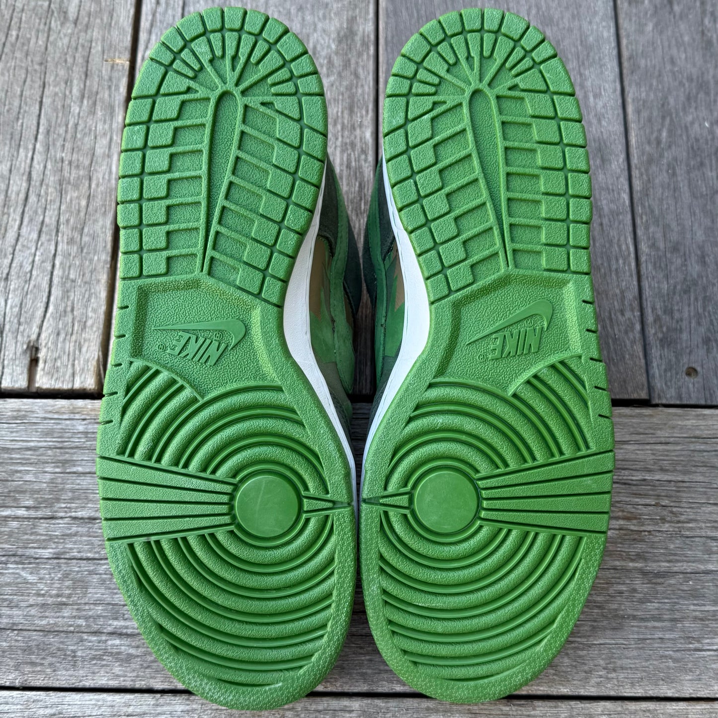 Nike SB Dunk Low BCS1 EMB Cesar Gordo Size 9.5