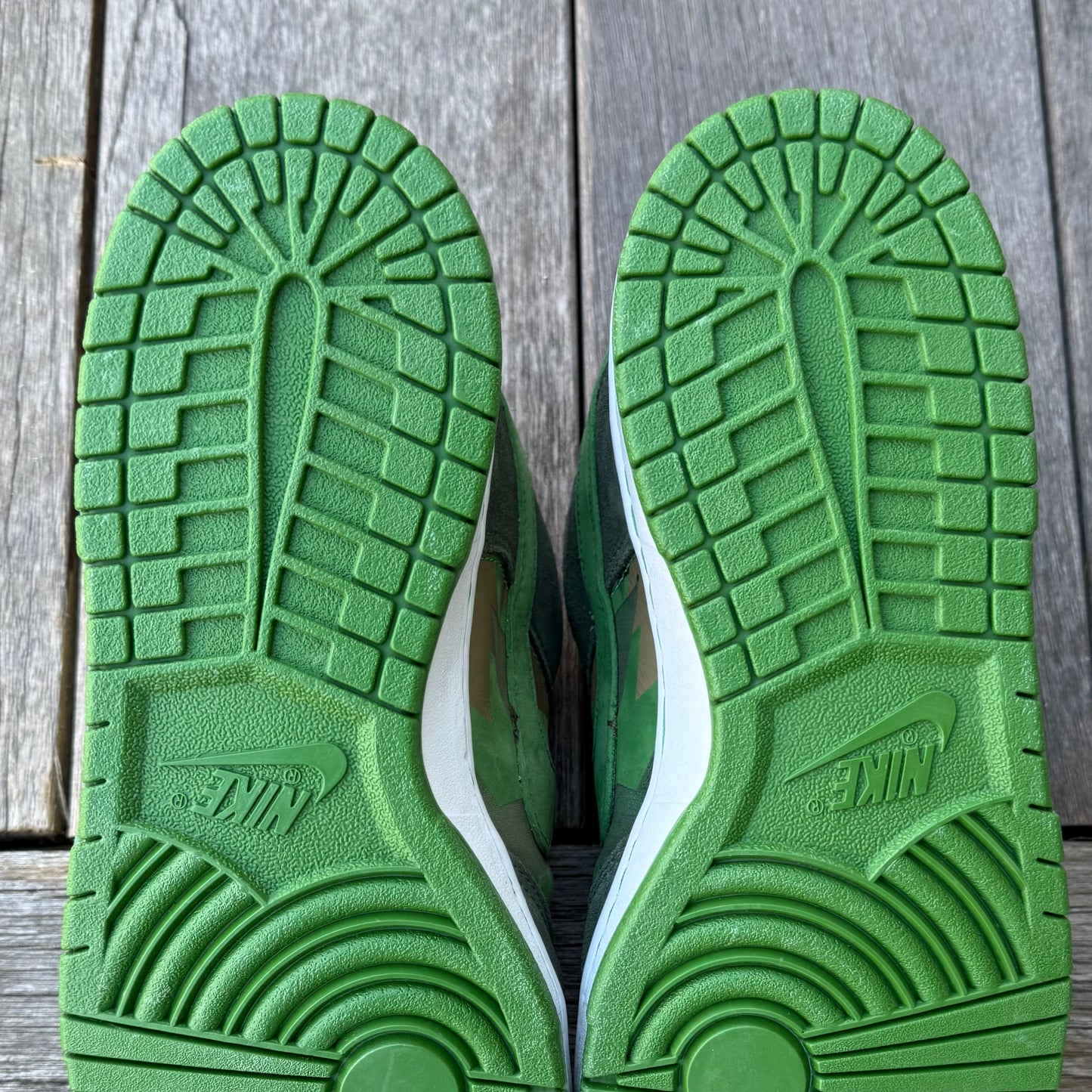 Nike SB Dunk Low BCS1 EMB Cesar Gordo Size 9.5