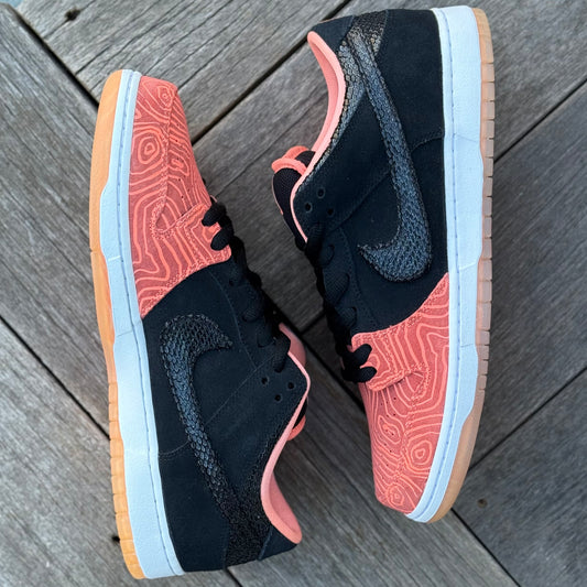 Nike SB Dunk Low Fish Ladder Size 12