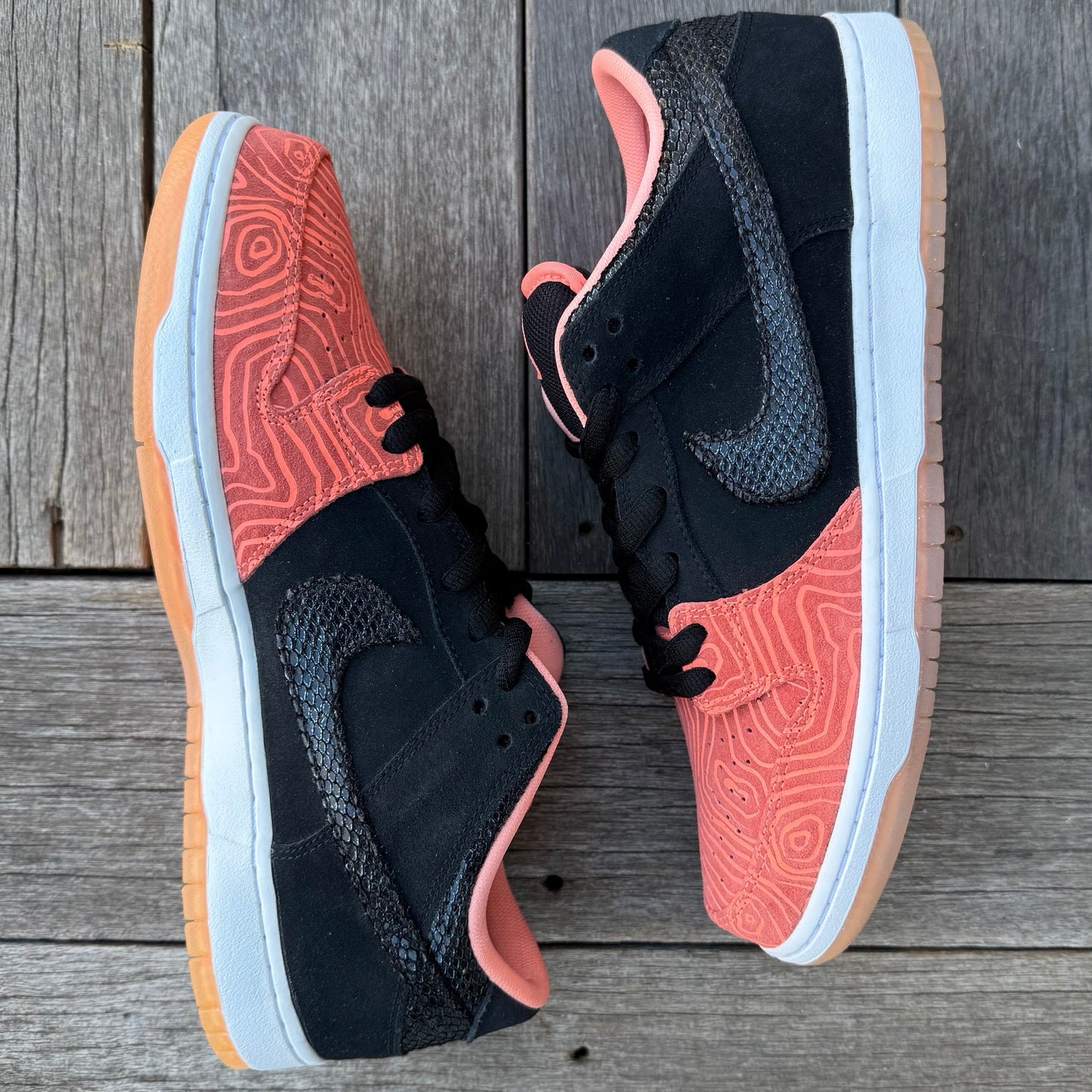 Nike SB Dunk Low Fish Ladder Size 12