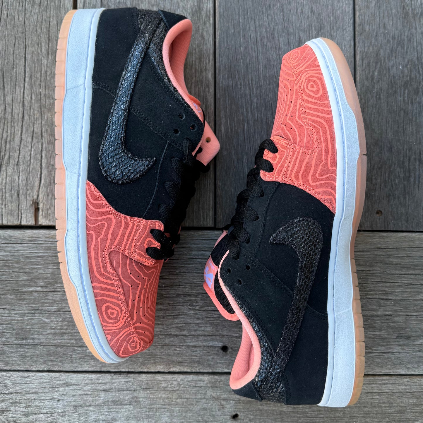 Nike SB Dunk Low Fish Ladder Size 12