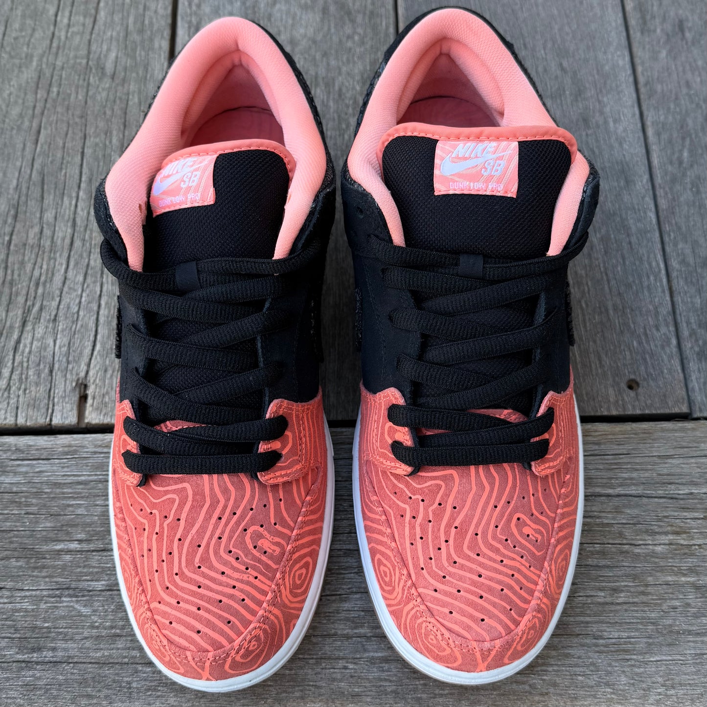 Nike SB Dunk Low Fish Ladder Size 12